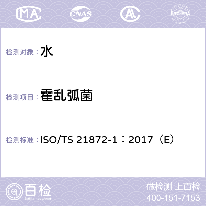 霍乱弧菌 食品和动物饲料的微生物学 潜在肠道致病性弧菌属检测的水平方法 第1部分副溶血弧性菌和霍乱弧菌的检测 ISO/TS 21872-1：2017（E）