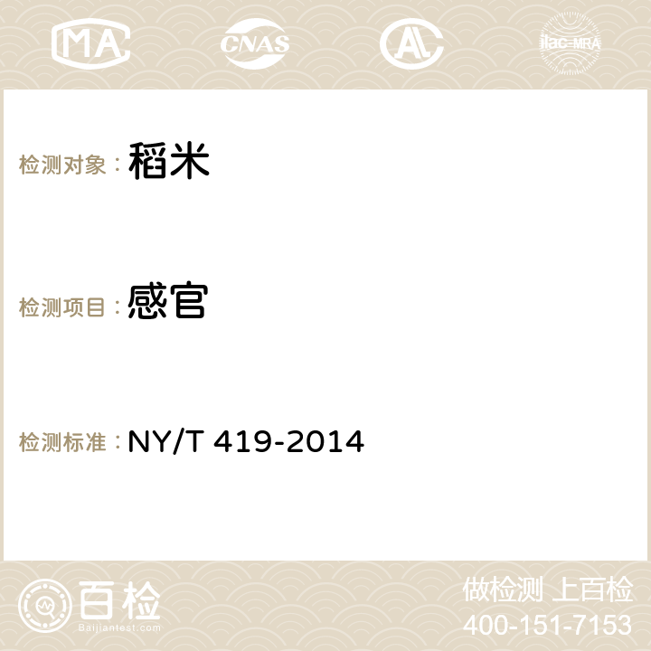 感官 绿色食品 稻米 NY/T 419-2014