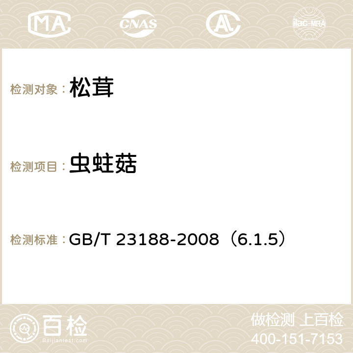 虫蛀菇 松茸 GB/T 23188-2008（6.1.5）