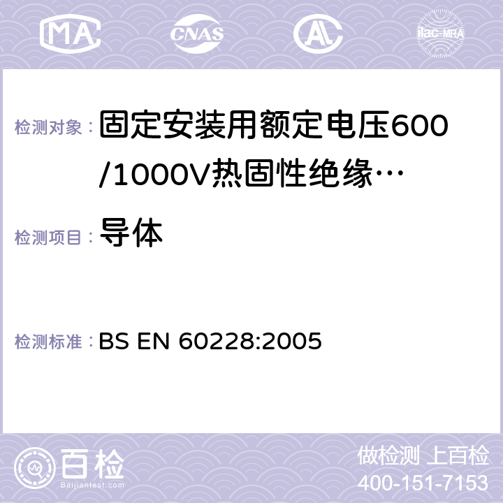 导体 BS EN 60228-2005 绝缘电缆导线