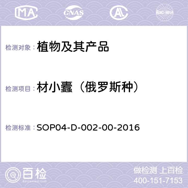 材小蠹（俄罗斯种） SOP04-D-002-00-2016 材小蠹属检疫鉴定方法 