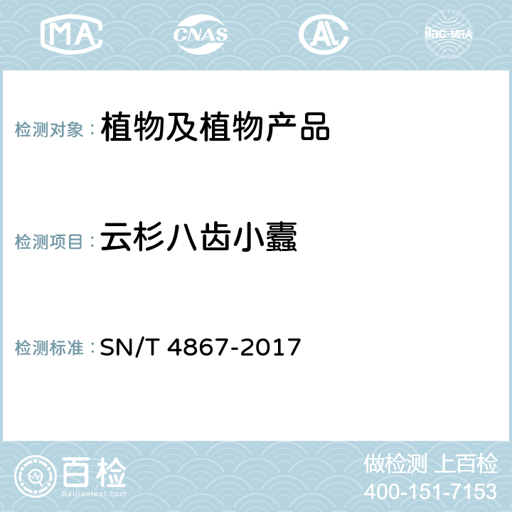 云杉八齿小蠹 SN/T 4867-2017 齿小蠹属(非中国种)检疫鉴定方法
