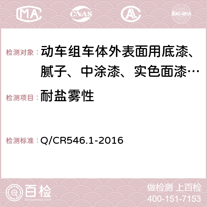 耐盐雾性 动车组用涂料与涂装 第1部分：车体外表面用涂料及涂层体系 Q/CR546.1-2016 5.4.23