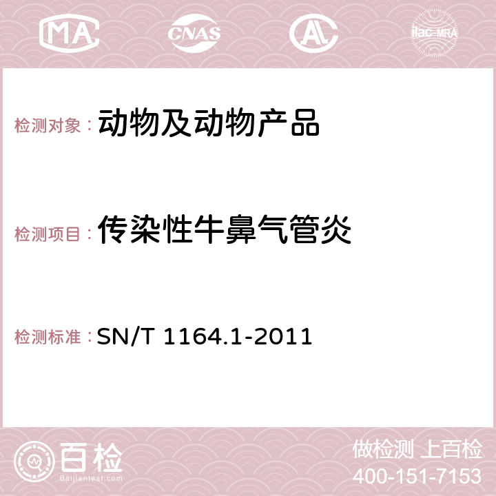 传染性牛鼻气管炎 牛传染性鼻气管炎检疫技术规范 SN/T 1164.1-2011