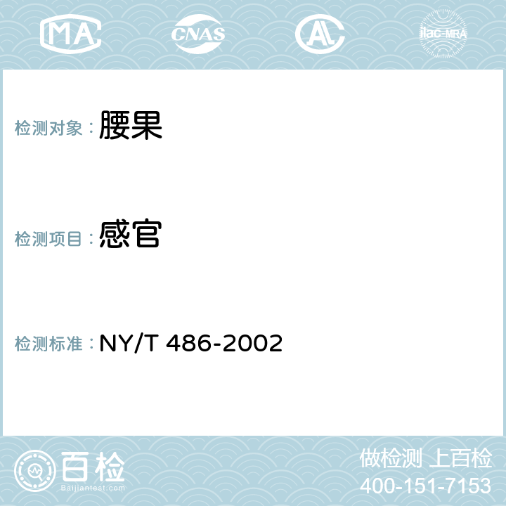 感官 NY/T 486-2002 腰果