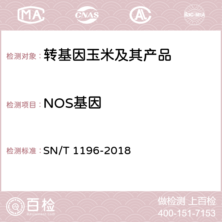 NOS基因 SN/T 1196-2018 转基因成分检测 玉米检测方法