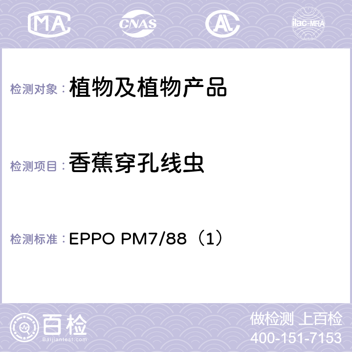 香蕉穿孔线虫 香蕉穿孔线虫诊断 EPPO PM7/88（1）
