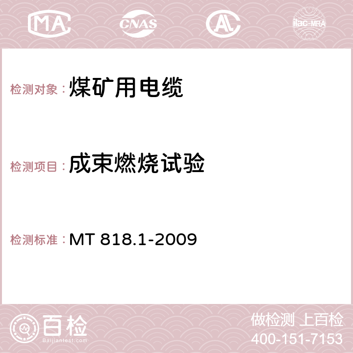 成束燃烧试验 MT 818.1-2009 煤矿用电缆 第1部分:移动类软电缆一般规定