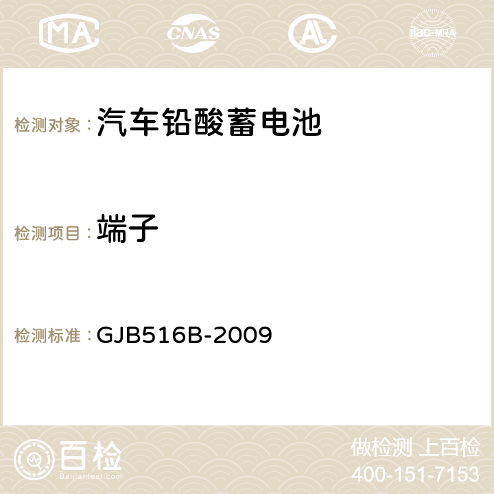 端子 军用汽车铅酸蓄电池通用规范 GJB516B-2009 3.6