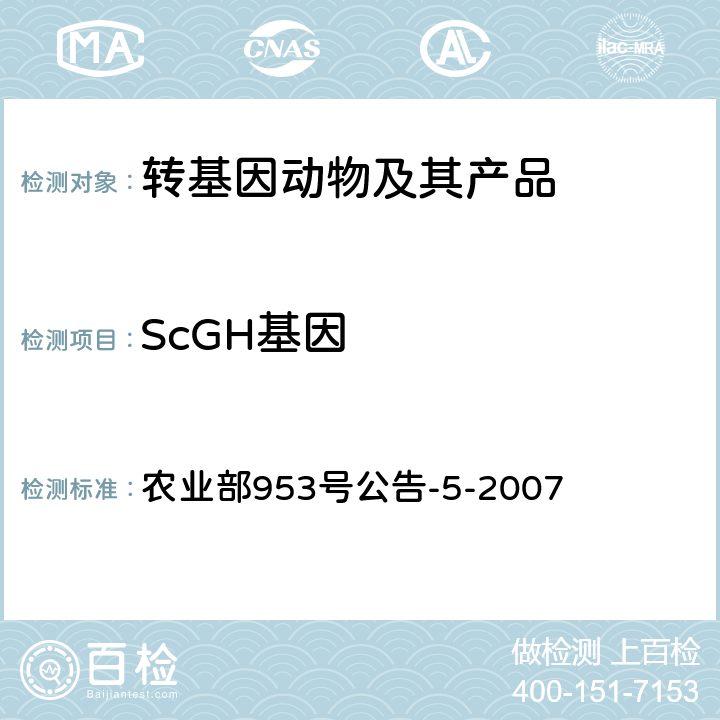 ScGH基因 农业部953号公告-5-2007 转基因动物及其产品成分检测促生长转鲤鱼定性PCR方法 