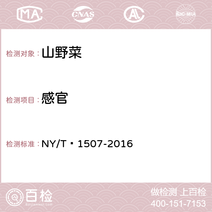 感官 绿色食品 山野菜 NY/T 1507-2016 3.3