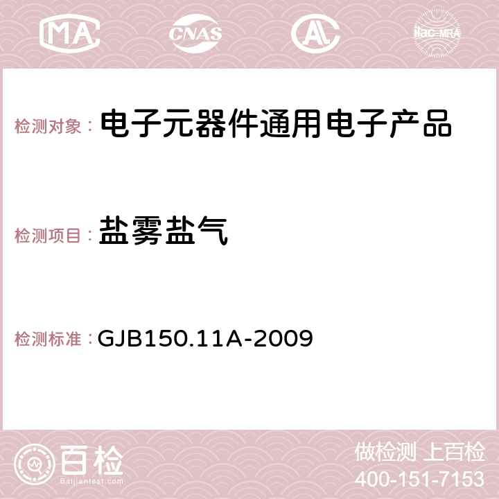 盐雾盐气 军用装备实验室环境试验方法 第11部分:盐雾试验 GJB150.11A-2009