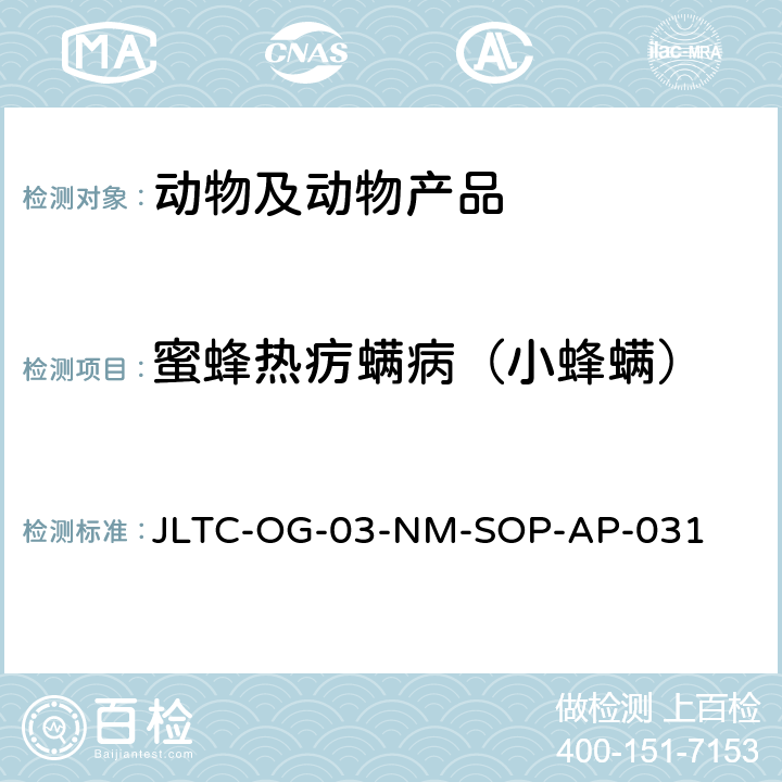 蜜蜂热疠螨病（小蜂螨） JLTC-OG-03-NM-SOP-AP-031 蜂蜜中检测方法 