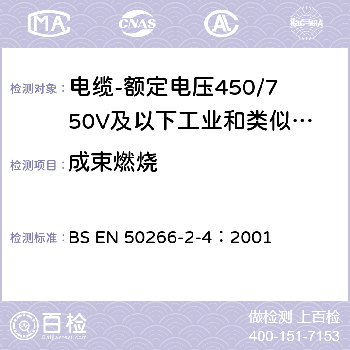 成束燃烧 EN 50266 电缆在火焰条件下的一般试验方法-垂直固定的垂直束状电线和电缆的垂直火焰扩散的试验-第2-4部分：过程-类别c BS -2-4：2001