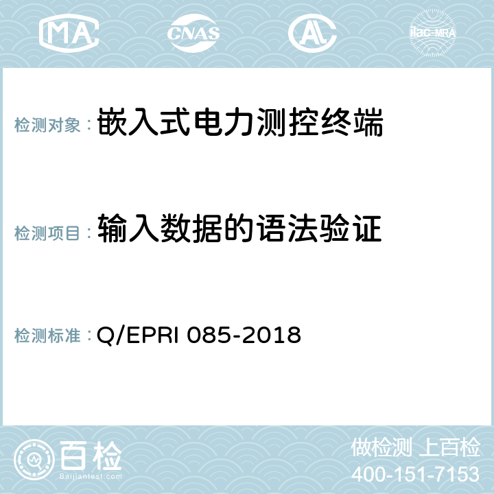 输入数据的语法验证 RI 085-2018 《电力测控终端安全性测试方法》 Q/EP 5.3.7