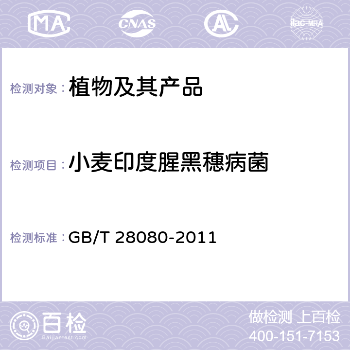 小麦印度腥黑穗病菌 小麦印度腥黑穗病菌检疫鉴定方法 GB/T 28080-2011