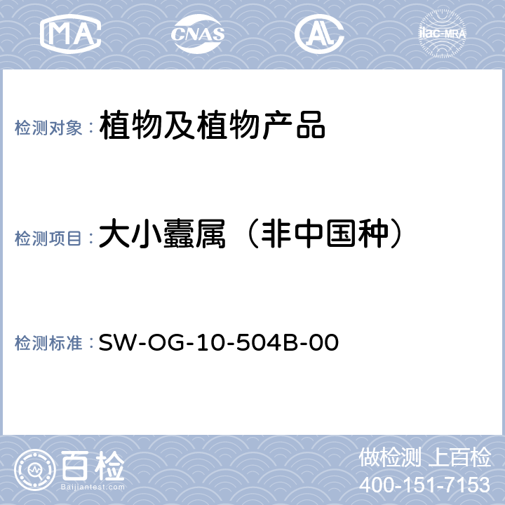 大小蠹属（非中国种） 大小蠹（非中国种）检疫鉴定方法 SW-OG-10-504B-00
