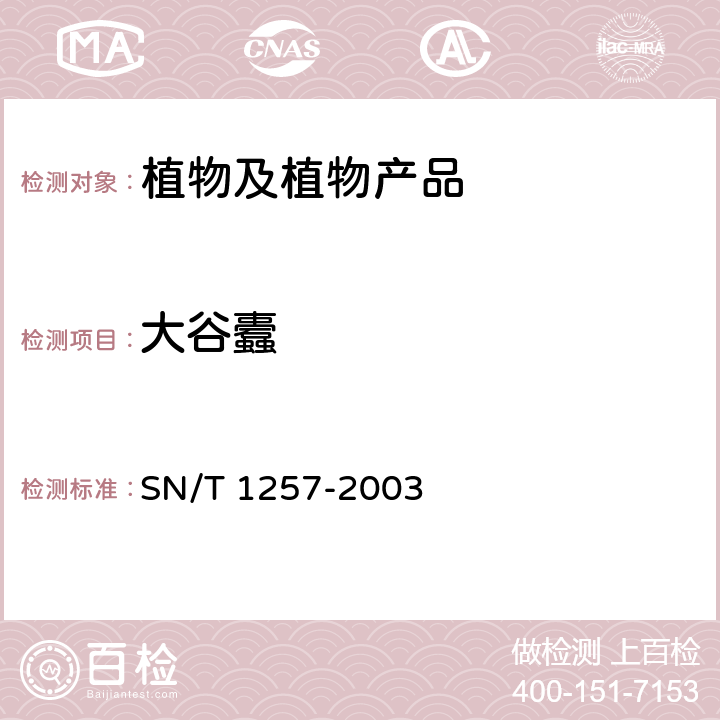 大谷蠹 大谷蠹的检疫鉴定方法 SN/T 1257-2003