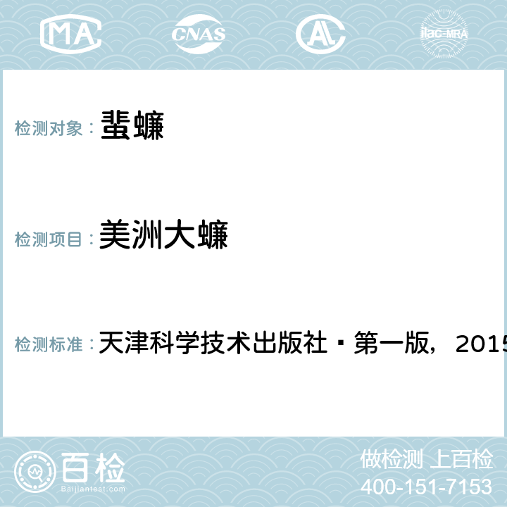 美洲大蠊 中国口岸常见医学媒介生物鉴定图谱 天津科学技术出版社—第一版，2015 第184页