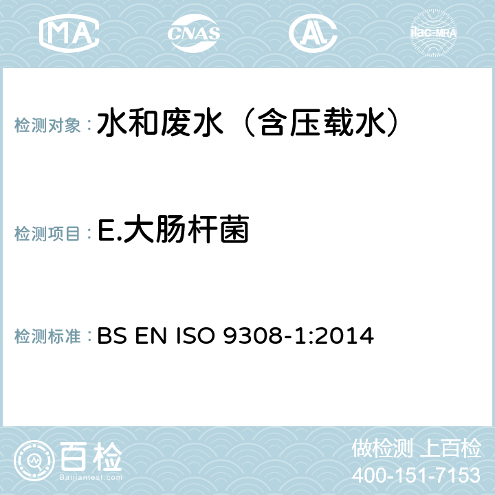 E.大肠杆菌 水质 - 大肠杆菌和大肠菌群的计数 BS EN ISO 9308-1:2014