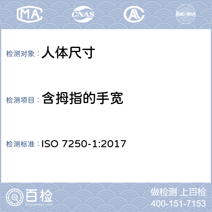 含拇指的手宽 用于技术设计的人体测量基础项目 第1部分 人体测量定义和标记点 ISO 7250-1:2017 6.3.18