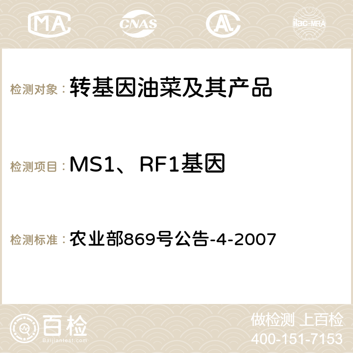 MS1、RF1基因 转基因植物及其产品成分检测抗除草剂油菜MS1、RF1及其衍生品种定性PCR方法  农业部869号公告-4-2007