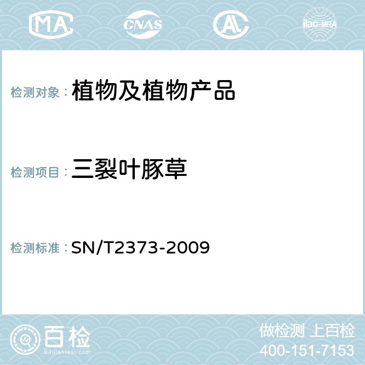 三裂叶豚草 SN/T 2373-2009 豚草属检疫鉴定方法 SN/T2373-2009