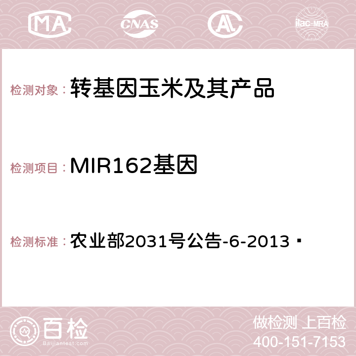 MIR162基因 转基因植物及其产品成分检测抗虫玉米MIR162及其衍生品种定性PCR方法 农业部2031号公告-6-2013 