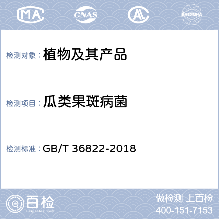 瓜类果斑病菌 瓜类果斑病菌检疫鉴定方法 GB/T 36822-2018