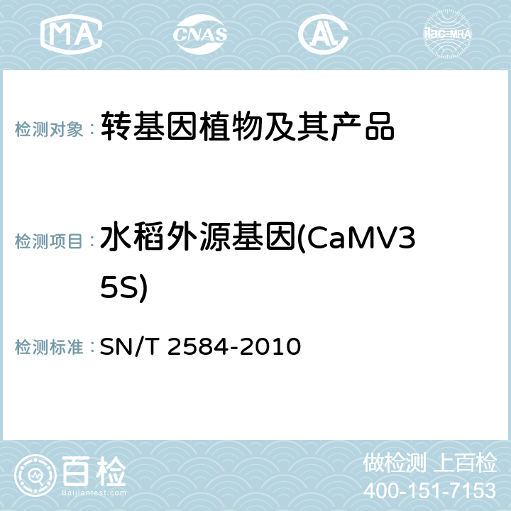 水稻外源基因(CaMV35S) 水稻及其产品中转基因成分实时荧光PCR检测方法 SN/T 2584-2010