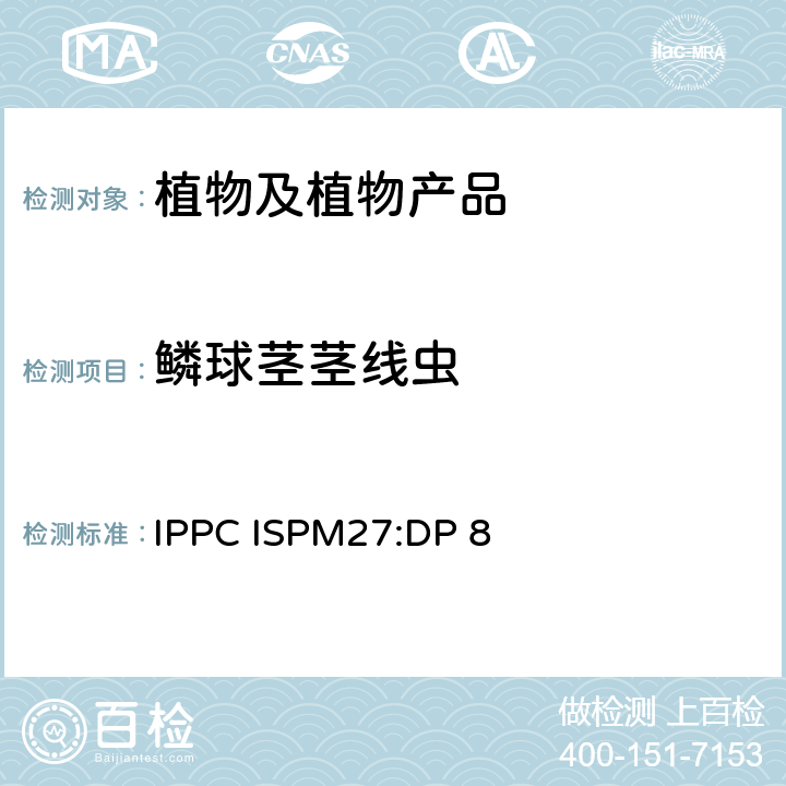 鳞球茎茎线虫 鳞球茎茎线虫和腐烂茎线虫的诊断规程 IPPC ISPM27:DP 8