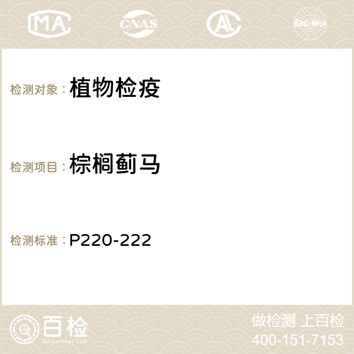 棕榈蓟马 园林植物病虫害防治原色图谱，中国农业出版社，2003 P220-222
