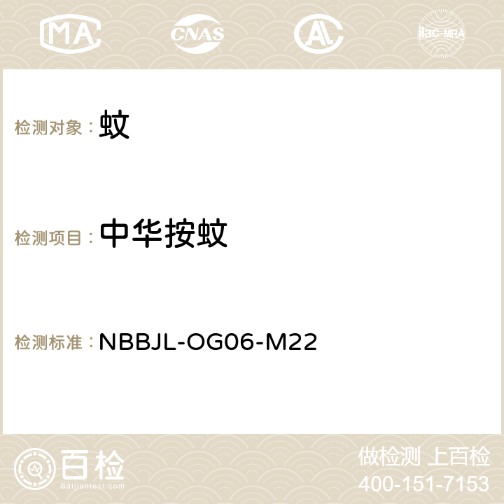 中华按蚊 中国重要医学昆虫分类与鉴别 蚊虫鉴定标准作业程序/附录B/1（等效河南科学技术出版社—第一版－2003《》，第一章，三（一），第一十六页至一十九页—） NBBJL-OG06-M22