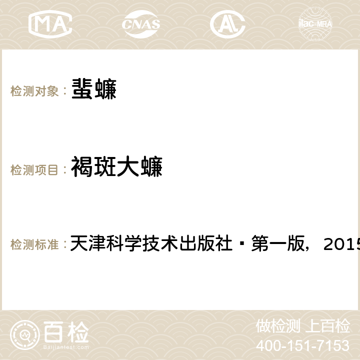 褐斑大蠊 中国口岸常见医学媒介生物鉴定图谱 天津科学技术出版社—第一版，2015 第183页