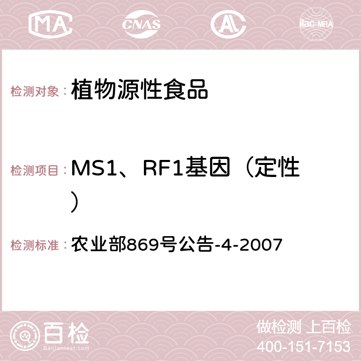 MS1、RF1基因（定性） 农业部869号公告-4-2007 转基因植物及其产品成分检测 抗除草剂油菜MS1、RF1及其衍生品种定性PCR方法 