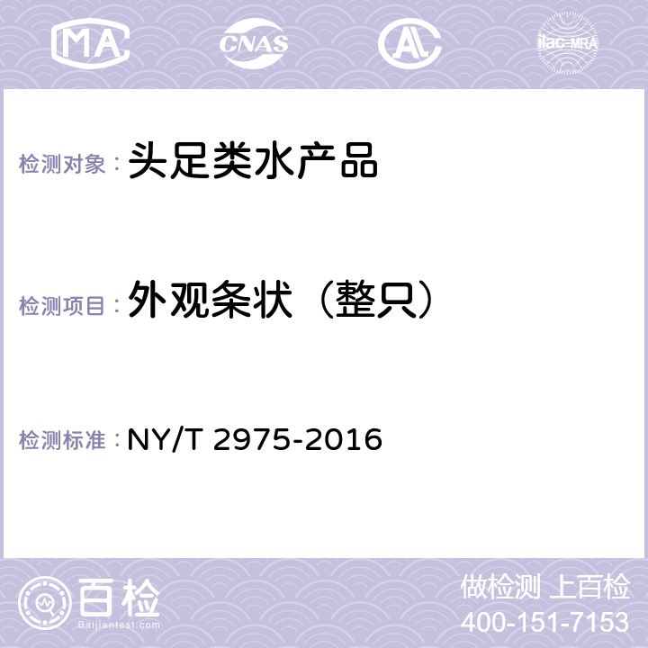 外观条状（整只） 绿色食品 头足类水产品 NY/T 2975-2016 4.3.3