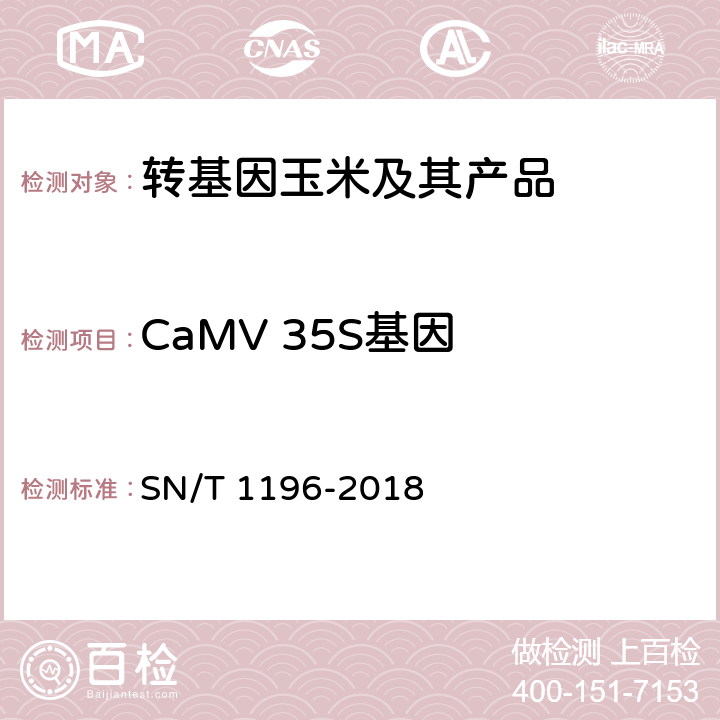 CaMV 35S基因 转基因成分检测 玉米检测方法 SN/T 1196-2018