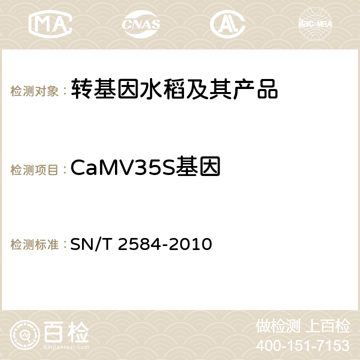 CaMV35S基因 水稻及其产品中转基因成分实时荧光PCR检测方法 SN/T 2584-2010