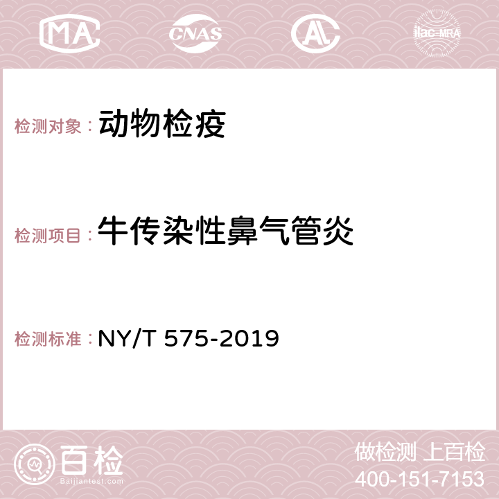 牛传染性鼻气管炎 牛传染性鼻气管炎诊断技术 NY/T 575-2019