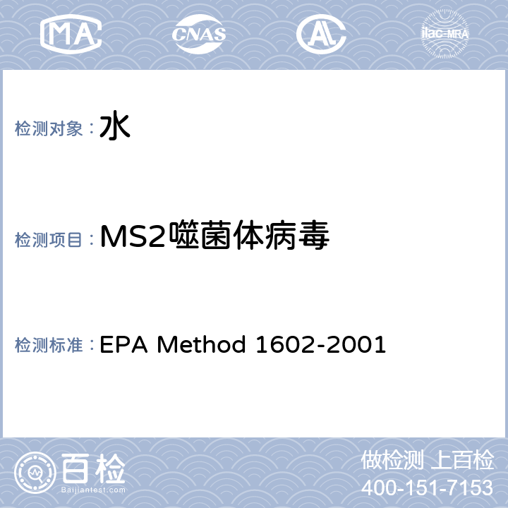 MS2噬菌体病毒 EPA 1602 方法: 单层平板法测定水中F+特异性噬菌体和体细胞噬菌体 EPA Method 1602-2001