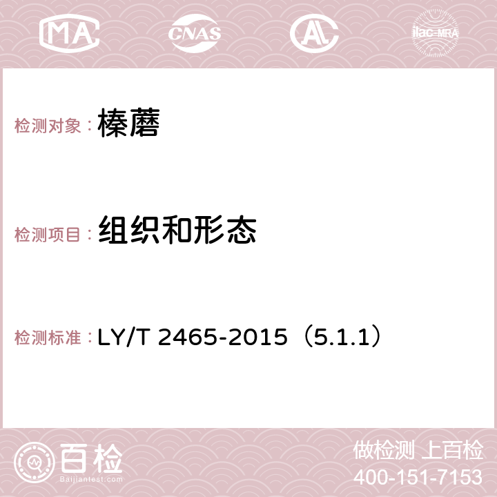 组织和形态 榛蘑 LY/T 2465-2015（5.1.1）