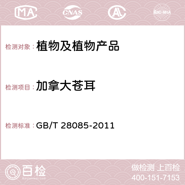 加拿大苍耳 苍耳（属）（非中国种）检疫鉴定方法 GB/T 28085-2011