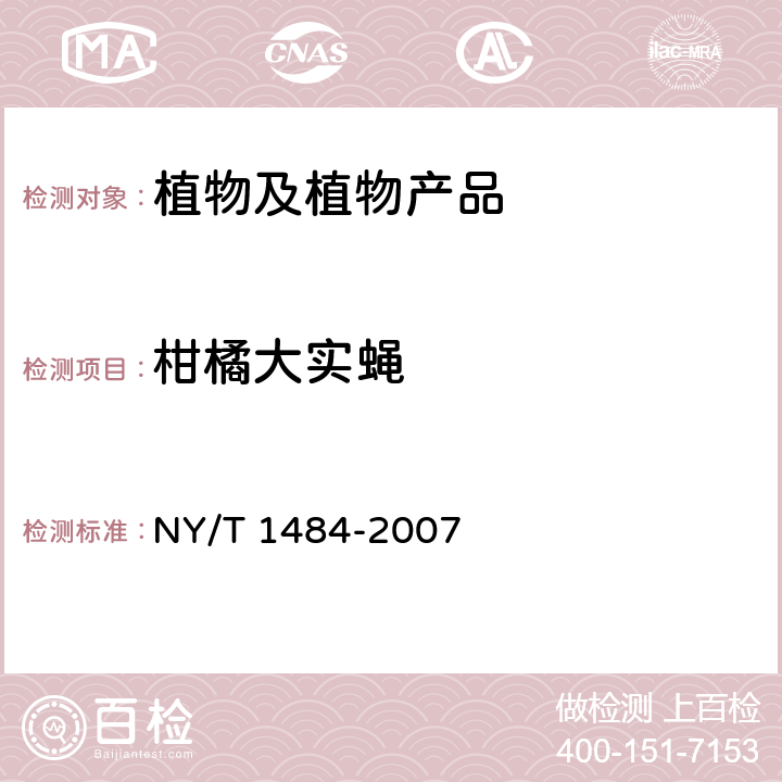 柑橘大实蝇 柑橘大实蝇检疫检验与鉴定技术规范 NY/T 1484-2007