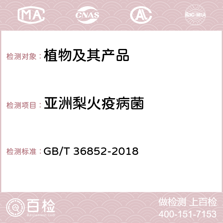 亚洲梨火疫病菌 GB/T 36852-2018 亚洲梨火疫病菌检疫鉴定方法