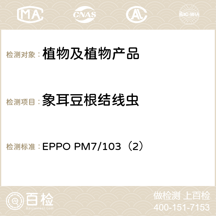 象耳豆根结线虫 象耳豆根结线虫诊断 EPPO PM7/103（2）