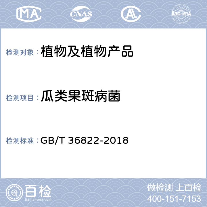 瓜类果斑病菌 瓜类果斑病菌检疫鉴定方法 GB/T 36822-2018