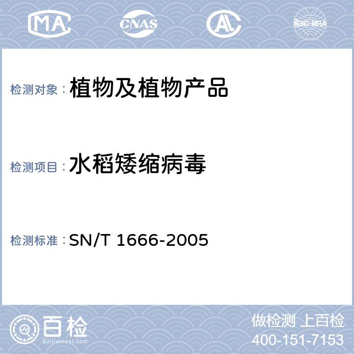 水稻矮缩病毒 SN/T 1666-2005 水稻条纹病毒、水稻矮缩病毒、水稻黑条矮缩病毒的检测方法 普通RT-PCR方法和实时荧光RT-PCR方法