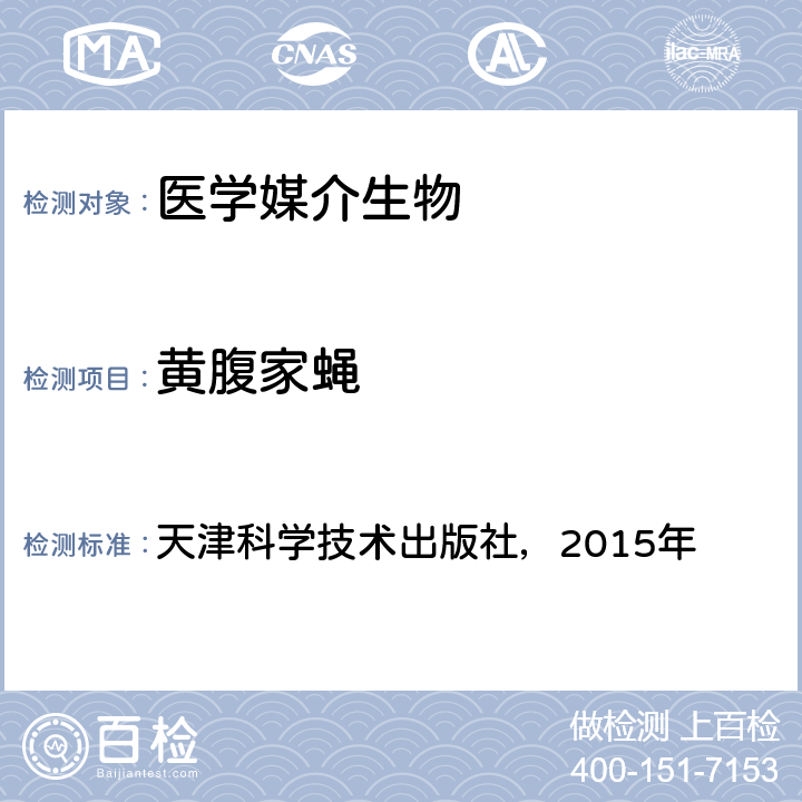 黄腹家蝇 天津科学技术出版社，2015年 《中国国境口岸医学媒介生物鉴定图谱》  P268