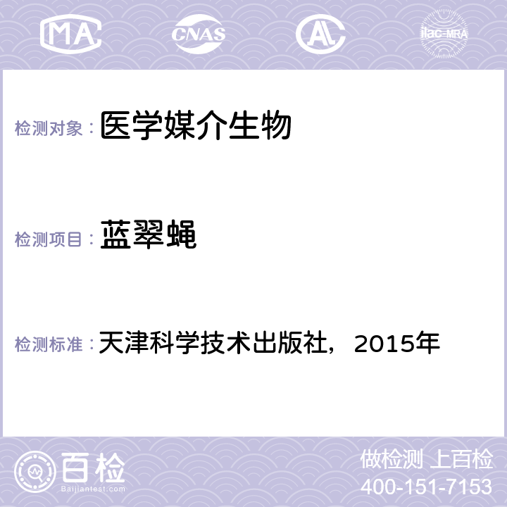 蓝翠蝇 天津科学技术出版社，2015年 《中国国境口岸医学媒介生物鉴定图谱》  P269
