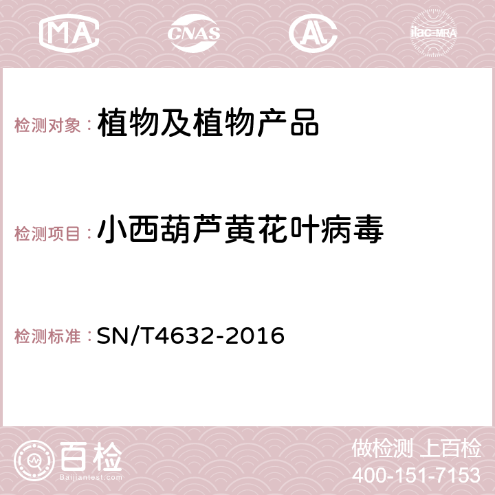 小西葫芦黄花叶病毒 小西葫芦黄花叶病毒检疫鉴定方法 SN/T4632-2016